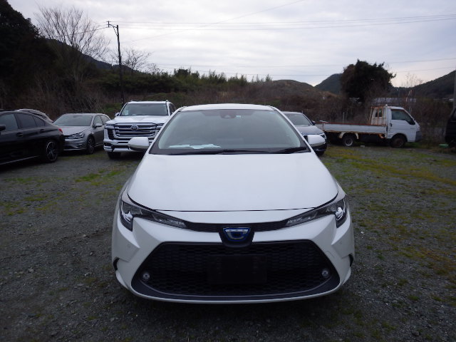 Toyota Corolla Touring 2019