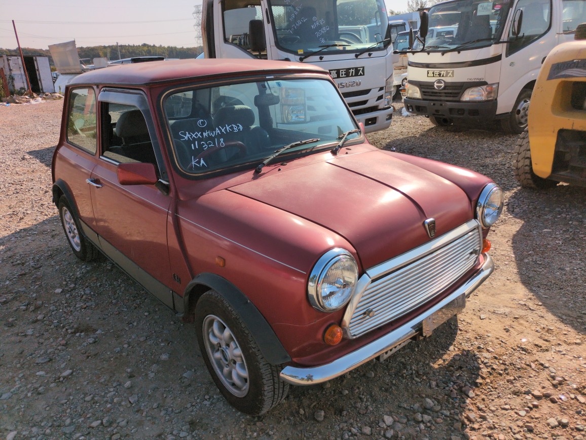 Rover Mini 1995