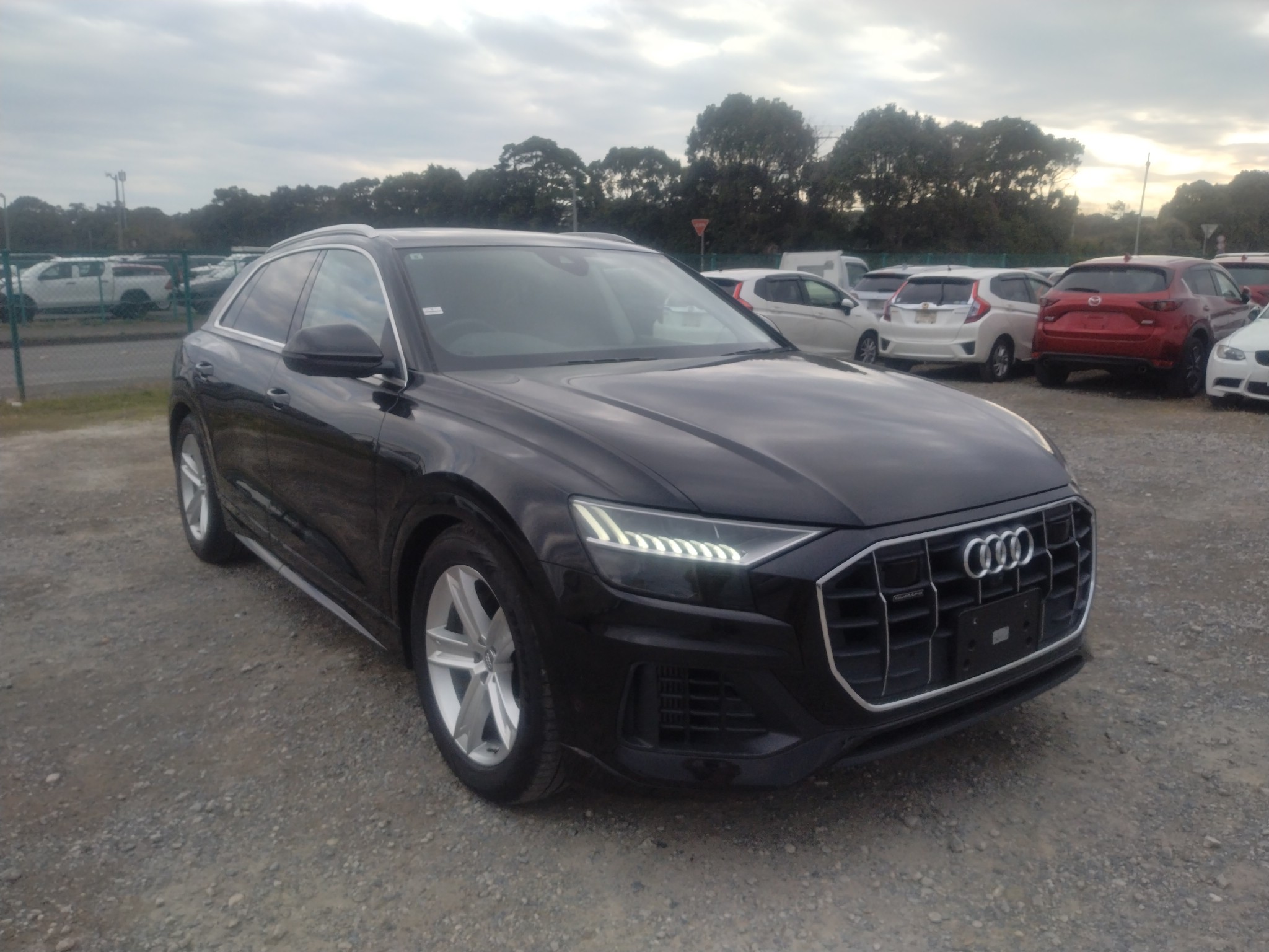 Audi Q8 2019