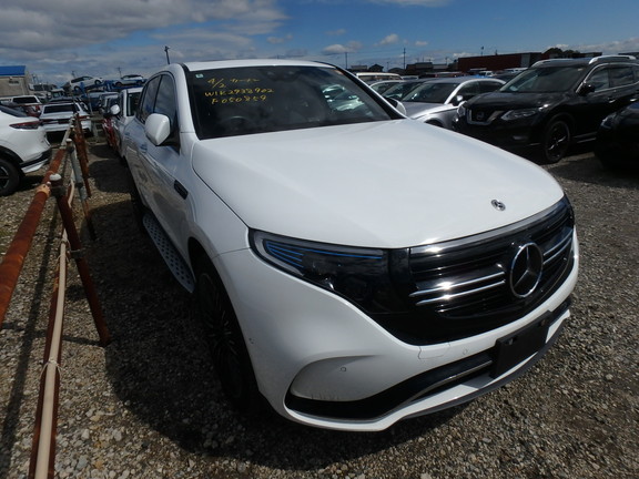 Mercedes Benz EQC-Class 2024