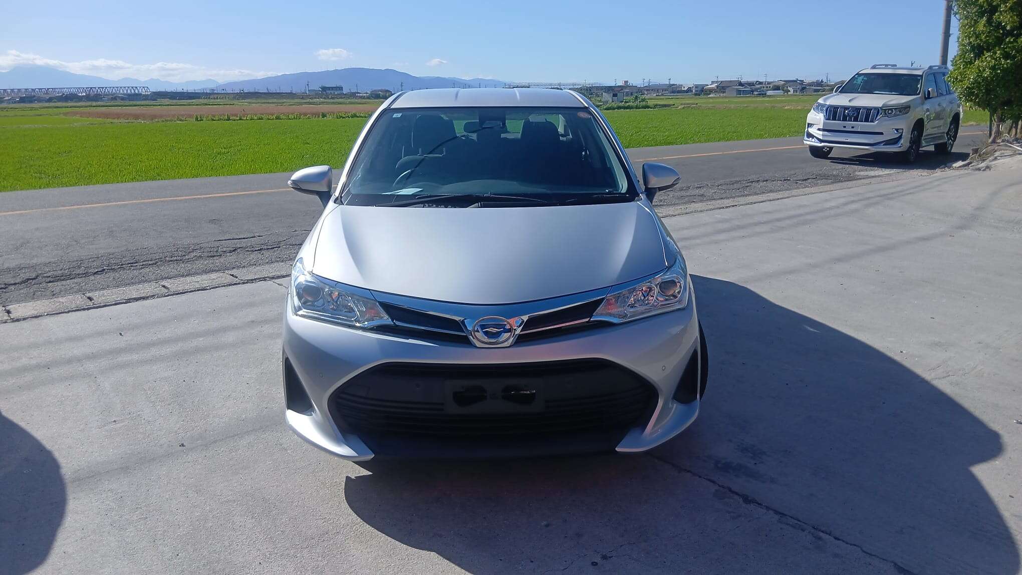 Toyota Corolla Axio 2019