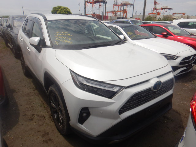 Toyota RAV4 2024