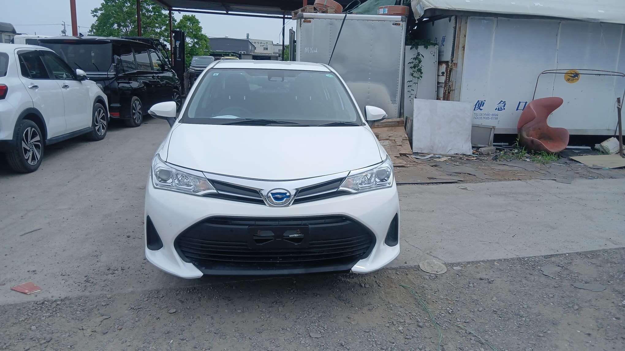 Toyota Corolla Axio 2019