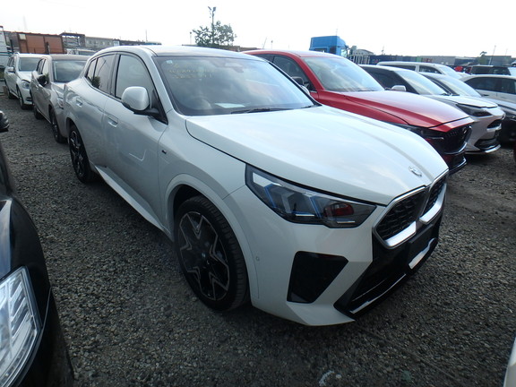 BMW X2 2024