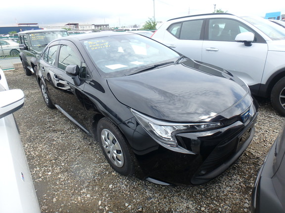 Toyota Corolla 2023