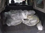 Toyota Succeed Van 2014