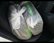 Toyota Corolla Fielder 2015