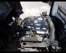 Isuzu Elf Truck 2016