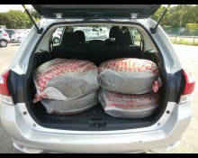 Toyota Corolla Fielder 2015