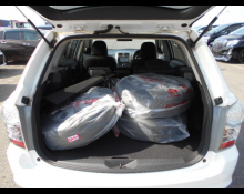 Toyota Corolla Fielder 2009