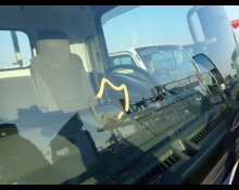 Isuzu Elf Truck 2016
