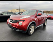 Nissan JUKE 2013