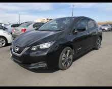 Nissan Leaf 2019