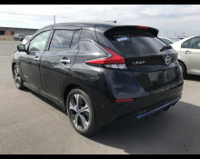 Nissan Leaf 2019