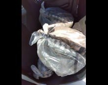 Daihatsu MIRA E-S 2019