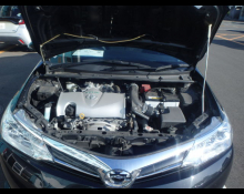 Toyota Corolla Axio 2019