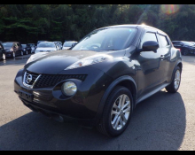 Nissan JUKE 2013