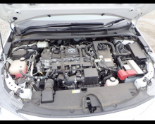 Toyota Corolla Sports 2019