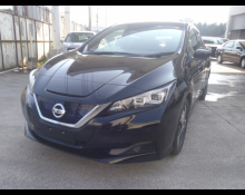 Nissan Leaf 2019