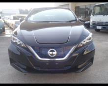 Nissan Leaf 2019