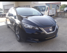 Nissan Leaf 2019