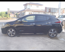 Nissan Leaf 2019