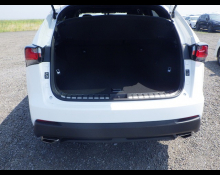 Lexus NX 2016