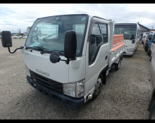Isuzu Elf Truck 2015