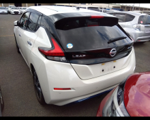 Nissan Leaf 2019