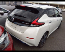 Nissan Leaf 2019