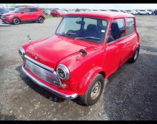Rover Mini 1994