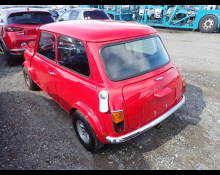 Rover Mini 1994