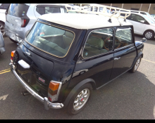 Rover Mini 1996