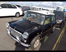 Rover Mini 1996