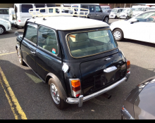 Rover Mini 1996
