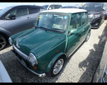 Rover Mini 1996