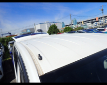 Mitsubishi Delica Van 2019