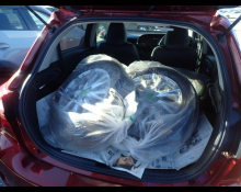 Toyota Vitz 2019