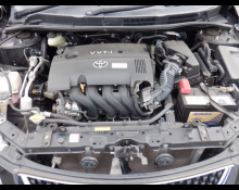 Toyota Corolla Fielder 2010