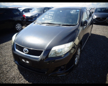 Toyota Corolla Fielder 2010