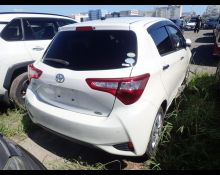 Toyota Vitz 2019