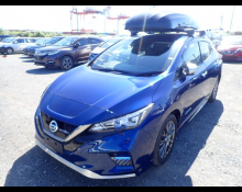 Nissan Leaf 2019