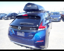 Nissan Leaf 2019