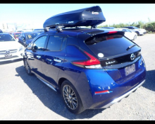 Nissan Leaf 2019