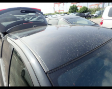Toyota Vitz 2019