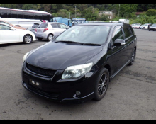 Toyota Corolla Fielder 2010