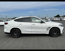 BMW X6 2021