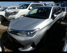 Toyota Corolla Fielder 2019