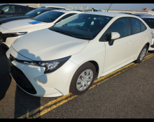 Toyota Corolla 2019