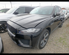 Jaguar Jaguar Others 2019